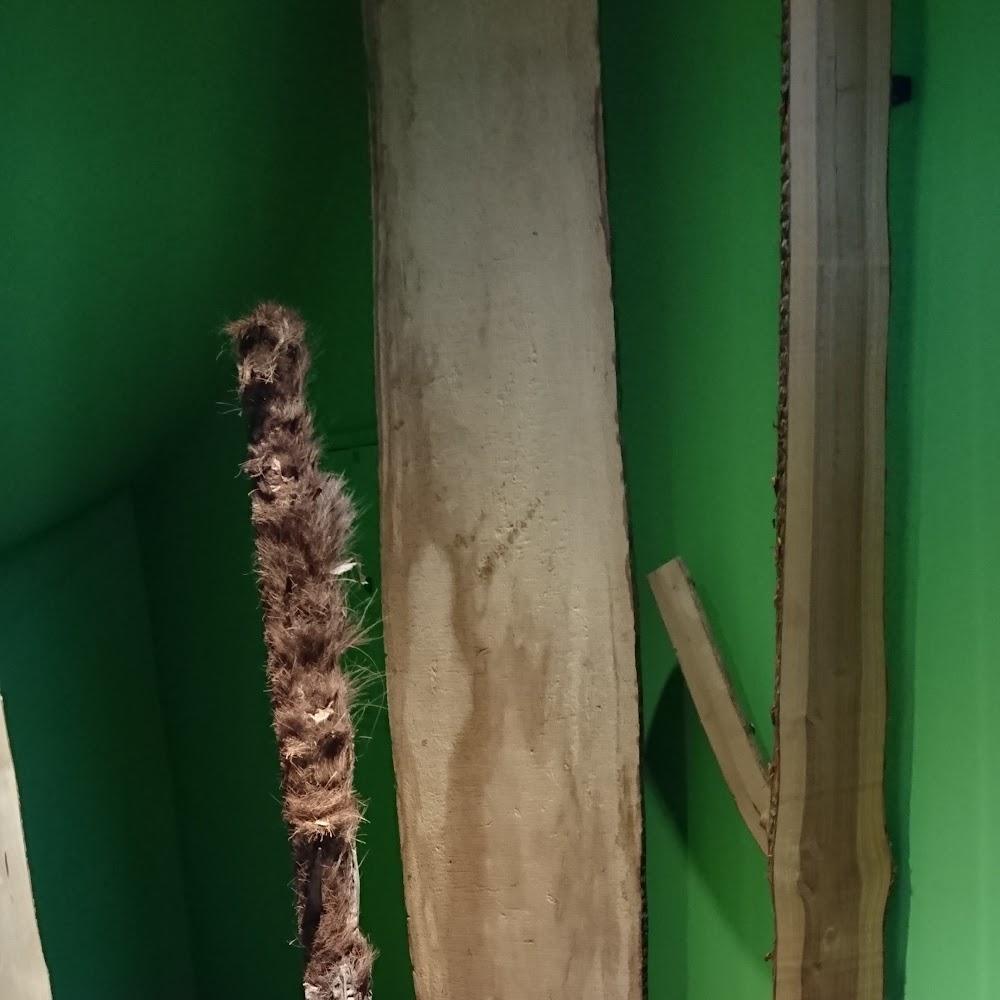 Wooden planks against a green wall.